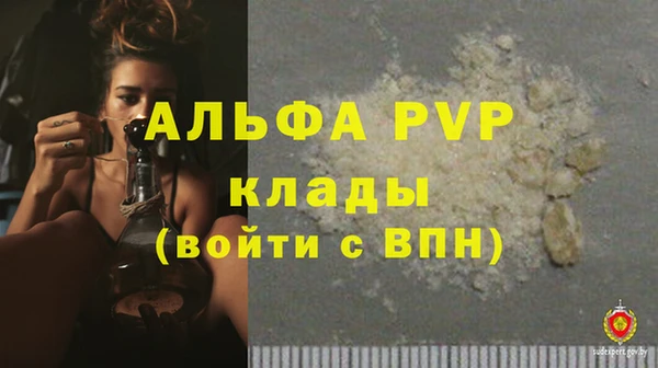 сатива Кодинск