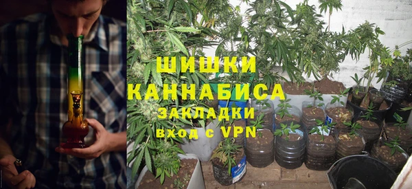 сатива Кодинск
