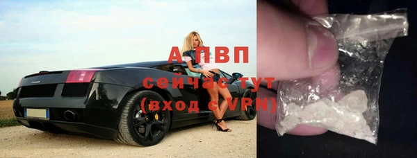 сатива Кодинск
