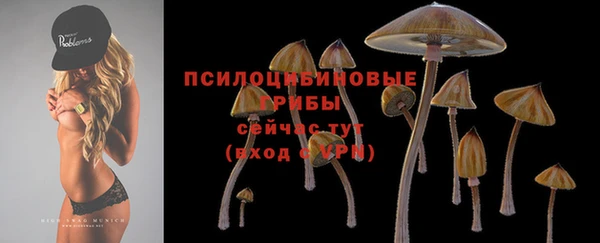 MESCALINE Козловка