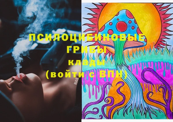 сатива Кодинск
