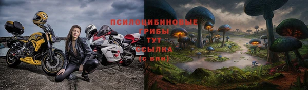 ECSTASY Козельск