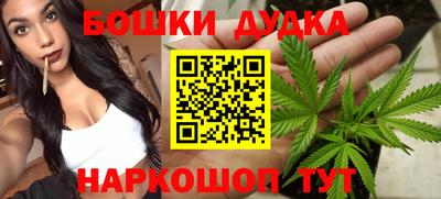 индика Волжский