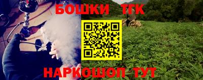 индика Волжский