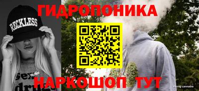 СК Гагарин