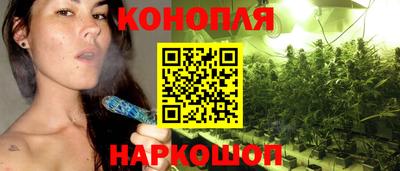 ешки Волгодонск