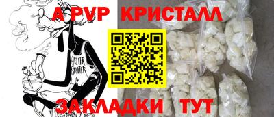 стаф Гай