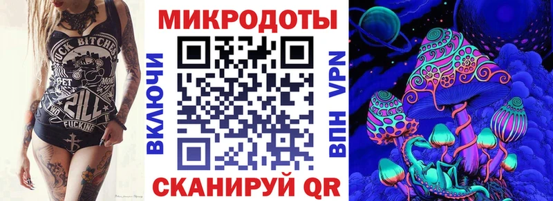 Галлюциногенные грибы Psilocybe Керчь