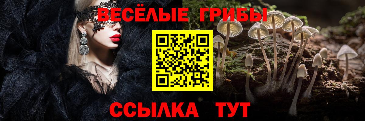 Галлюциногенные грибы MAGIC MUSHROOMS Керчь