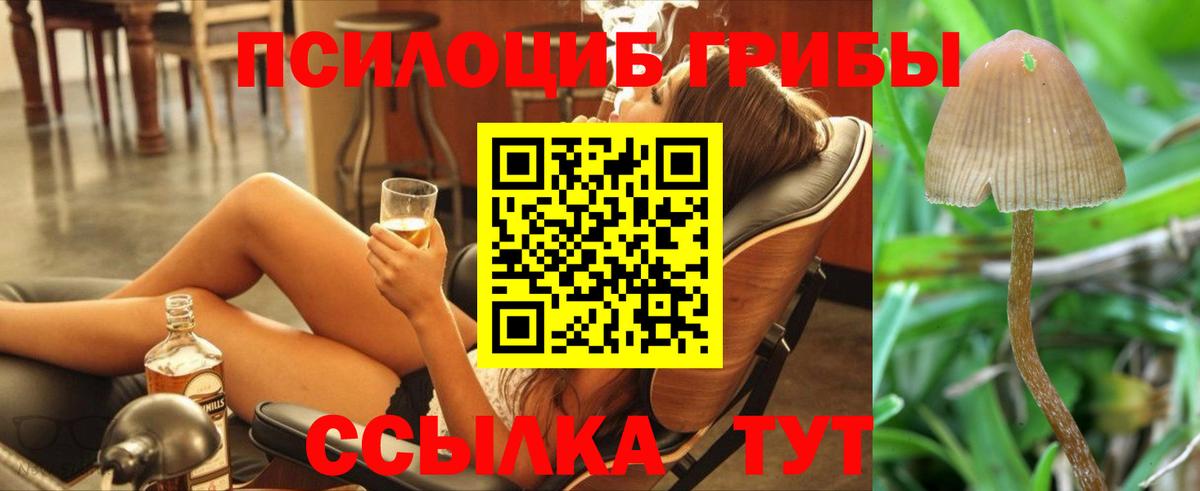 Псилоцибиновые грибы MAGIC MUSHROOMS  Вход с VPN  Псилоцибиновые грибы Psilocybine cubensis  Керчь 